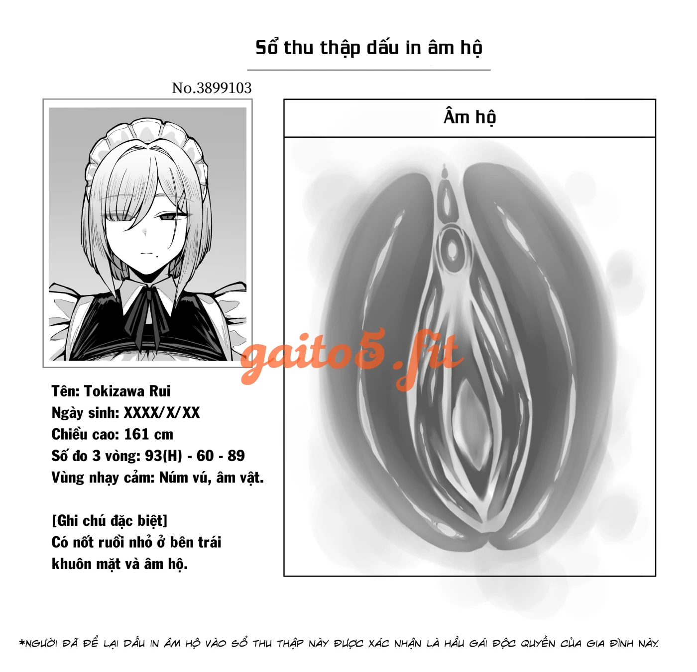 Cô hầu gái vô cảm - trang 1